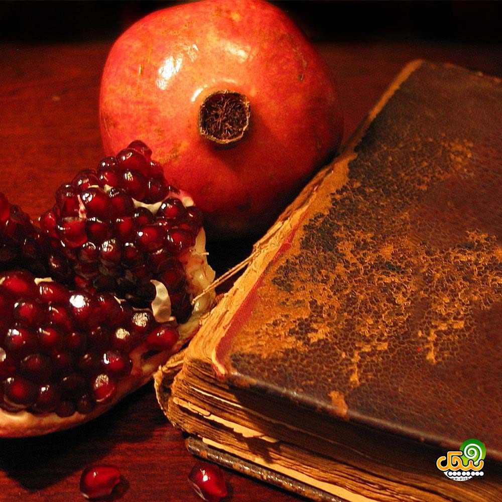 شب یلدا کوروش یغمایی