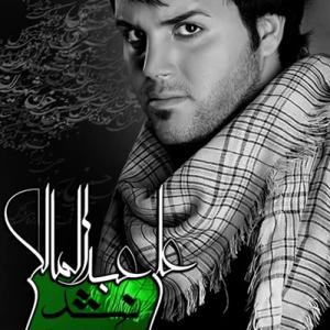 دانلود آهنگ نشد از علی عبدالمالکی