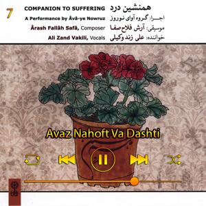 دانلود آهنگ آواز نهفت و دشتی (آلبوم همنشین درد) 07 از علی زند وکیلی