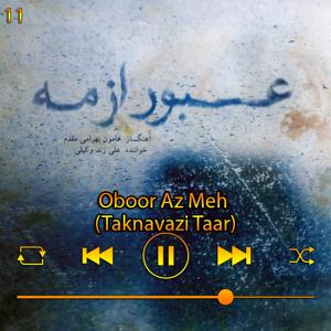 دانلود آهنگ عبور از مه (تک نوازی تار) (آلبوم عبور از مه) 11 از علی زند وکیلی