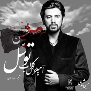 دانلود آهنگ توسل از امیر عباس گلاب