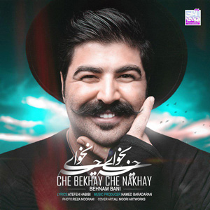دانلود آهنگ چه بخوای چه نخوای از بهنام بانی