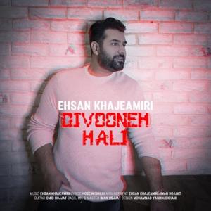 دانلود آهنگ دیوونه حالی از احسان خواجه امیری