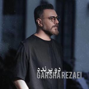 دانلود آهنگ دو پرنده از گرشا رضایی