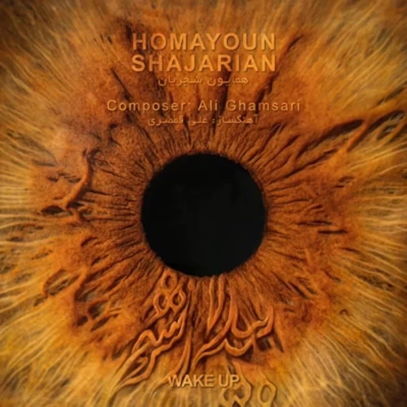 بیدار شو همایون شجریان
