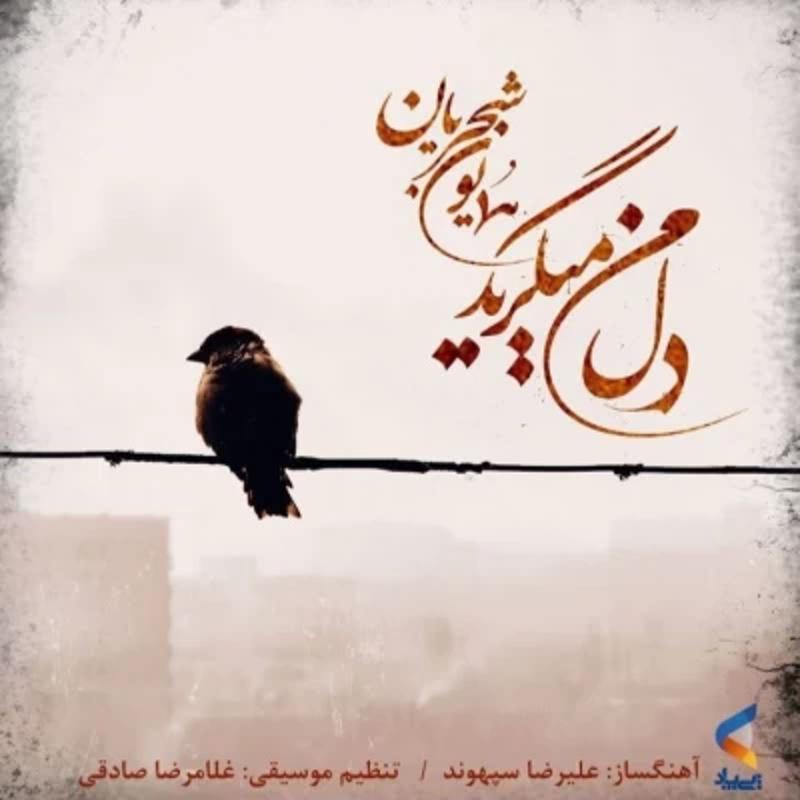 دل من میگرید همایون شجریان