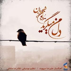دانلود آهنگ دل من میگرید از همایون شجریان