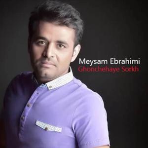 دانلود آهنگ غنچه های سرخ از میثم ابراهیمی
