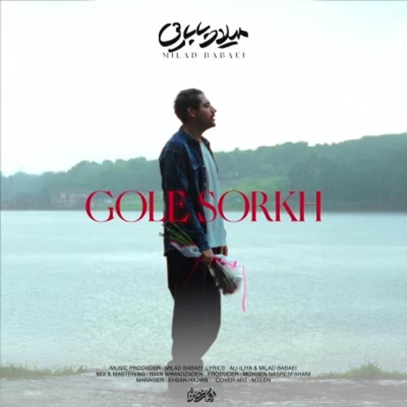 گل سرخ میلاد بابایی گل سرخ میلاد بابایی