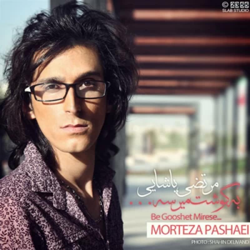 به گوشت میرسه مرتضی پاشایی