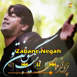 دانلود آهنگ زبان نگاه (آلبوم در شب گیسوان تو) 05 از پرواز همای