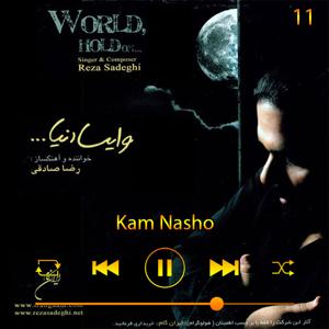 دانلود آهنگ کم نشو (آلبوم وایستا دنیا) 11 از رضا صادقی
