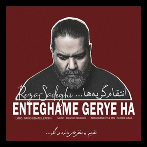 دانلود آهنگ انتقام گریه ها از رضا صادقی