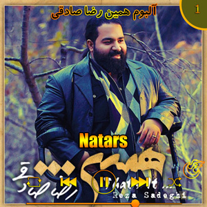 دانلود آهنگ (آلبوم همین)نترس  از رضا صادقی