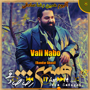 دانلود آهنگ (آلبوم همین)ولی نبو (بندر عباس)  از رضا صادقی