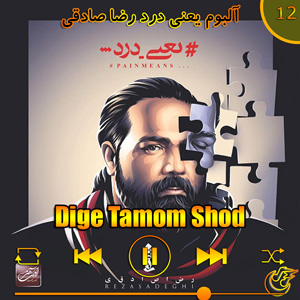 دانلود آهنگ (آلبوم یعنی درد)دیگه تموم شد از رضا صادقی