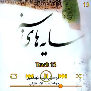 دانلود آهنگ ترک 13 (آلبوم سایه های سبز) 13 از سالار عقیلی